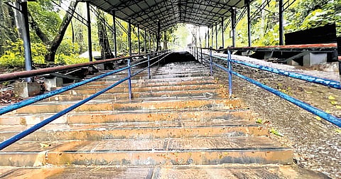The Neelimala path, a traditional route to the Sabarimala temple.
