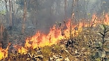 Pramila’s initiative was published in the Brightside page of The New Indian Express under the headline Sankirtan shows the way to save forests from wildfire, which has drawn notice of the prime minister.