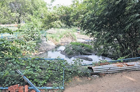 Debris seen on the surface of the Jalagam Vengal Rao Park in Banjara Hills. Locals say the spot has turned into a mosquito breeding den 