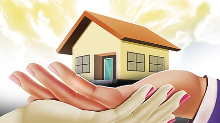 Property Tax