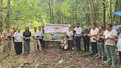The tortoises were reintroduced in Peren through a community event by the Nagaland State Forest Department and India Turtle Conservation Program (ITCP). 