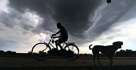 The sky appears cloudy. 