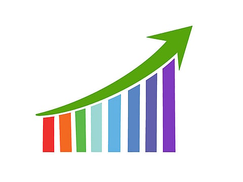 Social sector paradox in survey