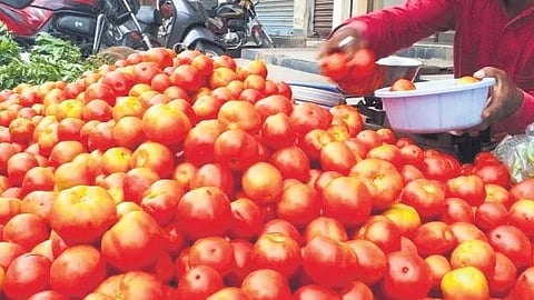 This weather-related disruption caused prices to spike to as high as Rs 85 per kg by the end of July. 