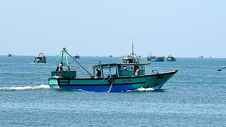Image used for representation