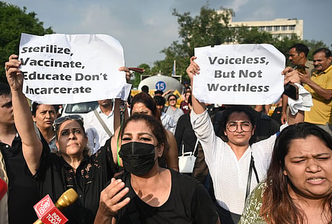 People protest outside the Hanuman temple in Connaught Place against the Supreme Court order on stray dogs.