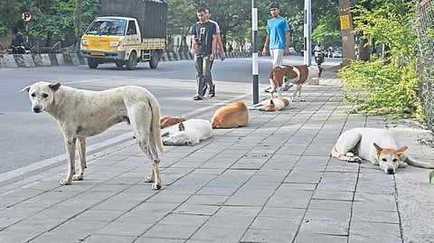 Image used for representational purpose.