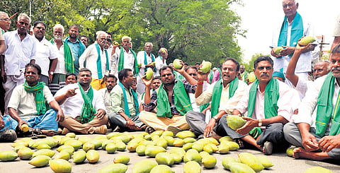 Mango farmers staging a protest in Vellore. 