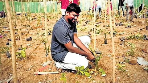 Environmental enthusiast Mahesh Talari plants saplings using Miyawaki method