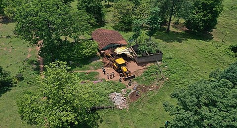 Acres of forest lands reclaimed, thanks to tech