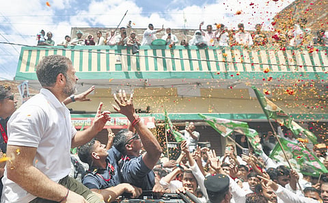 Crowds swell as Rahul yatra raises pitch over Bihar SIR