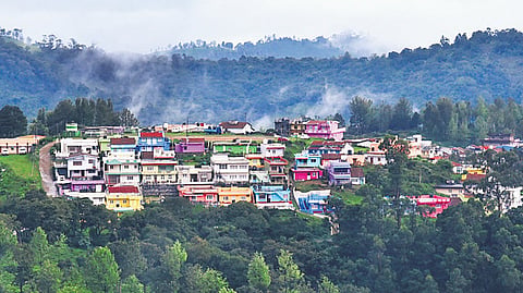 Photo for representation