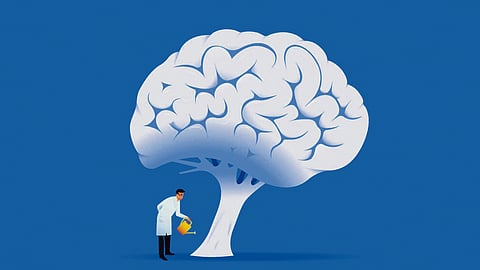 The power of true education