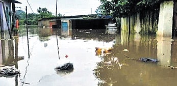 Balughat submerged in floodwater. 