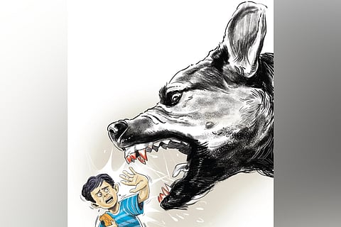 The first incident occurred around 6.30 am when the dog attacked a four-year-old child in Thonakkal ward of Mangalapuram panchayat. 
