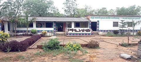 The Loka Kabi Haldhar Avasik Banavidyalaya in Kudopali village of Bargarh district 