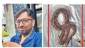 Manju Prakash and the Russell’s viper 