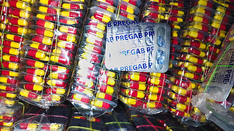 Rs 2.5-crore worth painkillers, 2.5 tonnes of beedi leaves seized