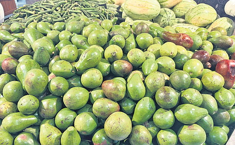 Just last year, a kilogram of premium avocados fetched up to Rs 340, with exports averaging 2,000 tonnes annually. 