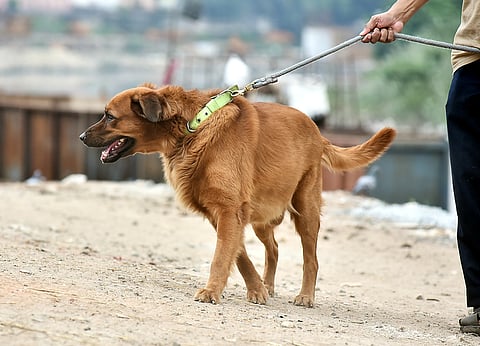 Representational image. 