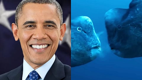 (L) Barack Obama; (R) Our Oceans documentary