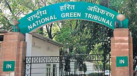  National Green Tribunal (NGT) 