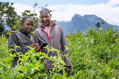 Alex Maere, right, uses the Ulangizi AI chatbot with a fellow farmer in Mulanje, southern Malawi, Tuesday, July 29, 2025. 