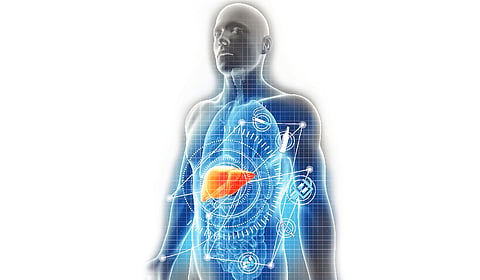 The patient was placed on supportive care, including hydration, liver-protective medications, dietary adjustments, and rest for three weeks. 