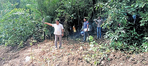 SIT officials and workers carry out searches for human remains at Banglegudde forest on Thursday.