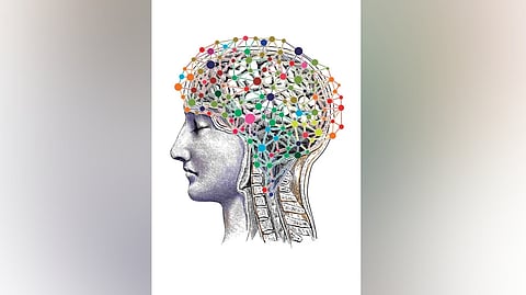 Encephalitis, the inflammation of the brain due to infection, is a common feature in several diseases, including Nipah and AME. 