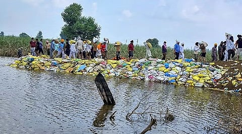 Representative Image of Punjab floods