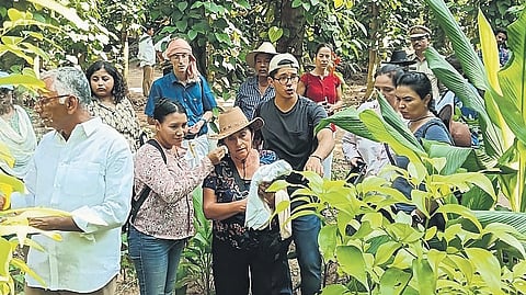 A delegation from Mexico studying APCNF model.