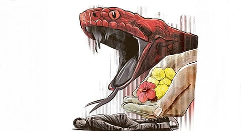 Odisha faces new disaster of snake bite