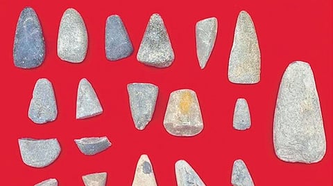Stone axe tools believed to be from the Neolithic period have been discovered at Veedur village in Villupuram 