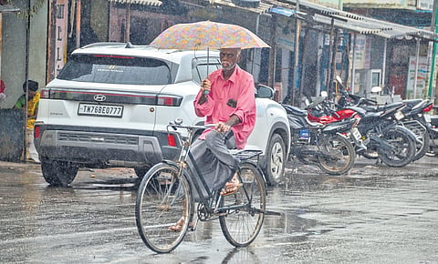 Light rainfall persisted over the last few days in Tirunelveli district 