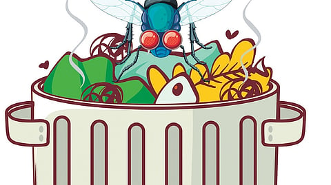 The community-level plants will vary in capacity, based on local requirements.
