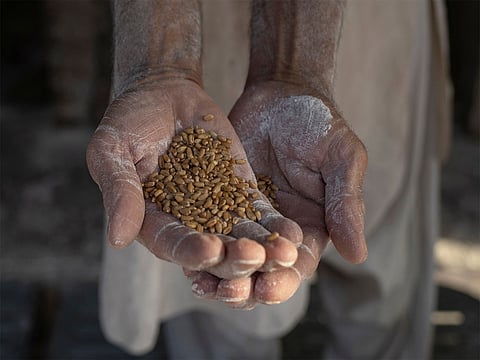 He told the House that strict departmental action is being taken against those found indulging in food adulteration.