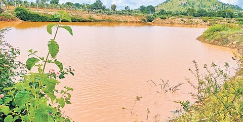 A rejuvenated Konanakunte Lake in Bengaluru South 
