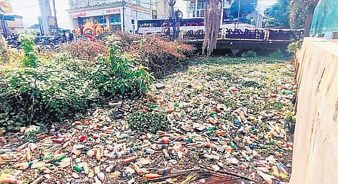 Waste accumulated in the Thevara-Perandoor canal at Kaloor