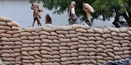 The "Oilseeds Kisaan Mitra" is a WhatsApp-based service developed by the ICAR-Indian Institute of Oilseeds Research in Hyderabad.