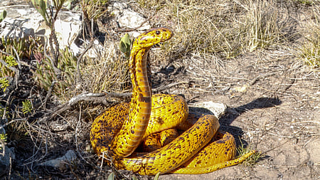 Image used for representative purpose.