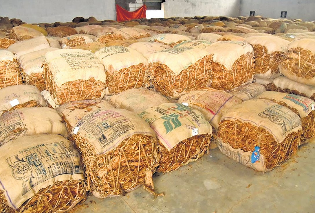 Tobacco auction process in final stage in Andhra Pradesh