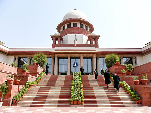 SC unhappy with steps taken by states in stray dog case, warns action 