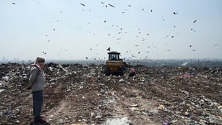 Currently, the city processes about 7,000-8,000 tonnes of fresh waste every day against a daily waste generation of 13,000-14,000 tonnes. 