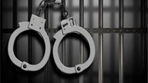 The officials seized several incriminating materials, including fake seals of various companies, several mobile phones and SIM cards linked to GST registrations, digital records, bank account details and transaction logs.