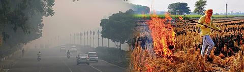Delhi's pollution crisis: Things that can help you breathe easier this winter