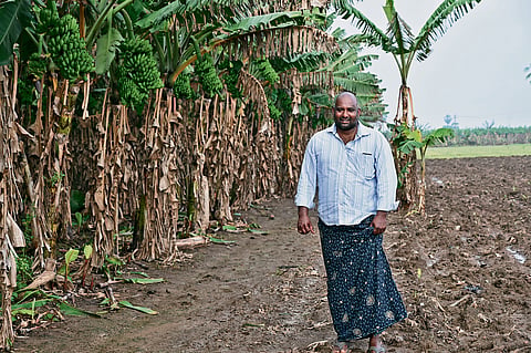 The banana farmer, who used natural farming, in Penumaka village of Guntur district is all smiles