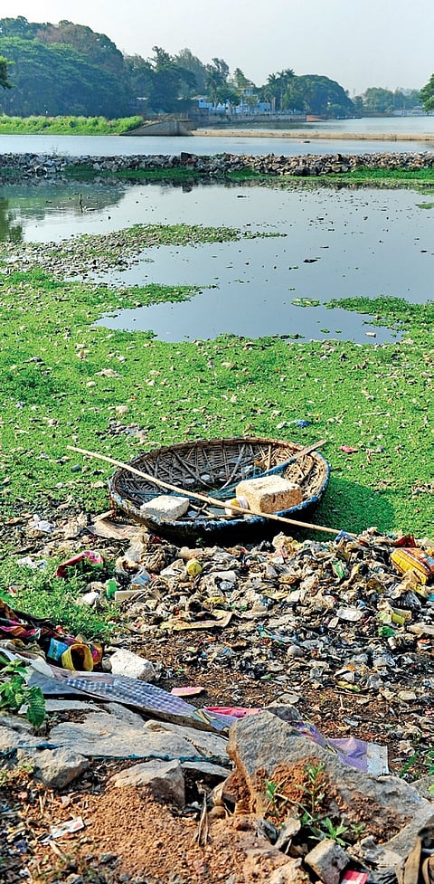 Garbage and untreated sewage have reduced Ulsoor Lake, a major water body in Bengaluru,  to a sewage pond