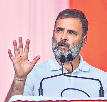 BJP mocks Rahul for jungle safari in MP’s Satpura Tiger Reserve