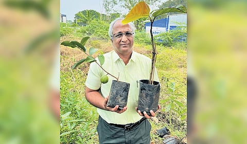 Dr M Rajaram